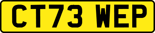 CT73WEP