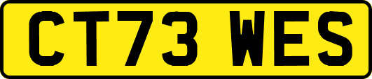 CT73WES