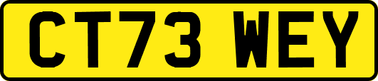 CT73WEY