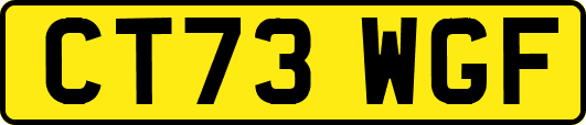 CT73WGF