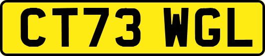 CT73WGL