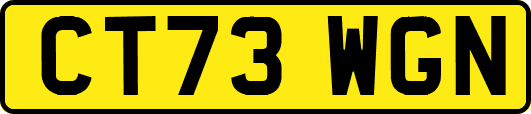CT73WGN