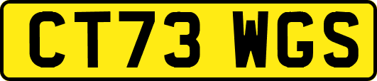 CT73WGS