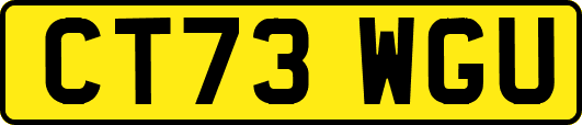 CT73WGU