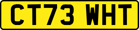 CT73WHT