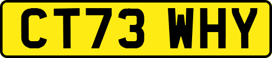 CT73WHY