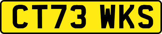 CT73WKS