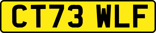 CT73WLF