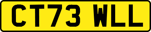 CT73WLL