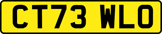 CT73WLO