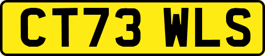 CT73WLS