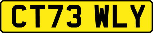 CT73WLY