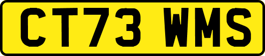 CT73WMS