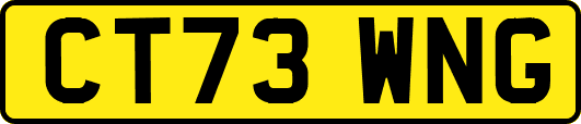 CT73WNG