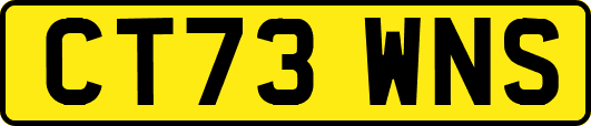 CT73WNS
