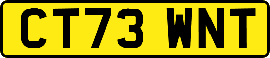 CT73WNT