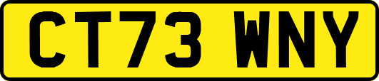 CT73WNY