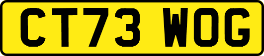 CT73WOG
