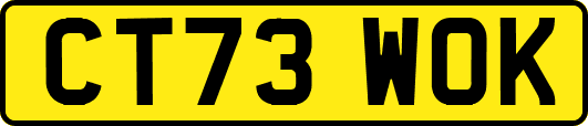 CT73WOK