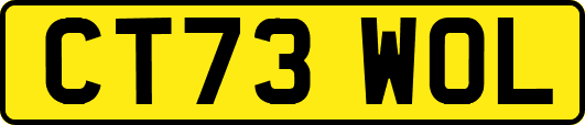 CT73WOL