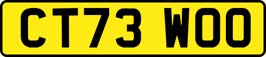 CT73WOO