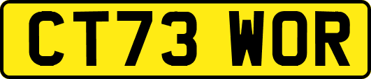 CT73WOR
