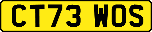 CT73WOS