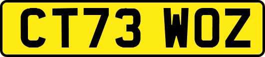 CT73WOZ