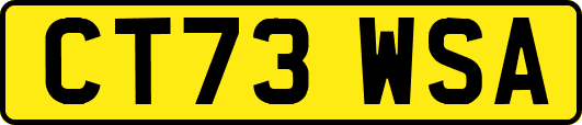 CT73WSA