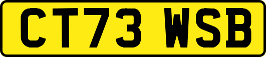 CT73WSB