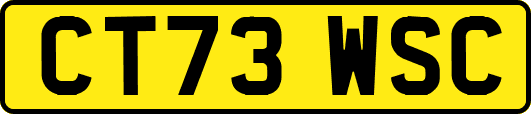 CT73WSC