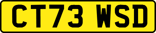 CT73WSD