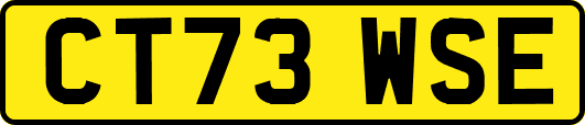 CT73WSE
