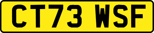 CT73WSF