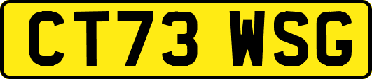 CT73WSG