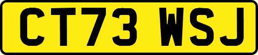 CT73WSJ