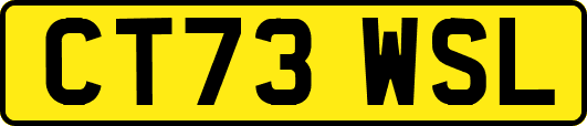 CT73WSL