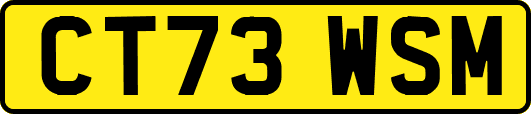 CT73WSM