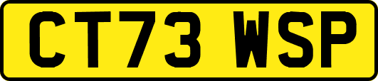 CT73WSP