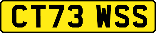 CT73WSS