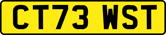 CT73WST