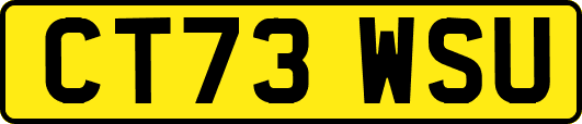 CT73WSU
