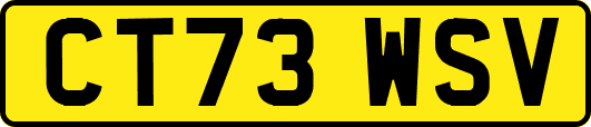 CT73WSV
