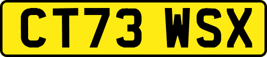 CT73WSX
