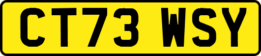 CT73WSY