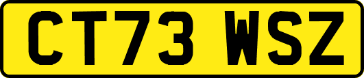 CT73WSZ