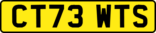 CT73WTS