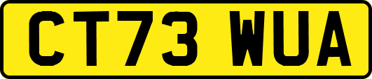 CT73WUA