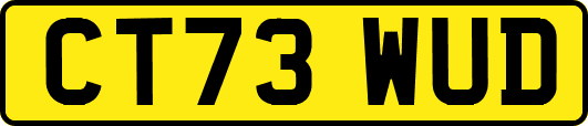 CT73WUD
