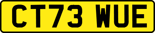 CT73WUE